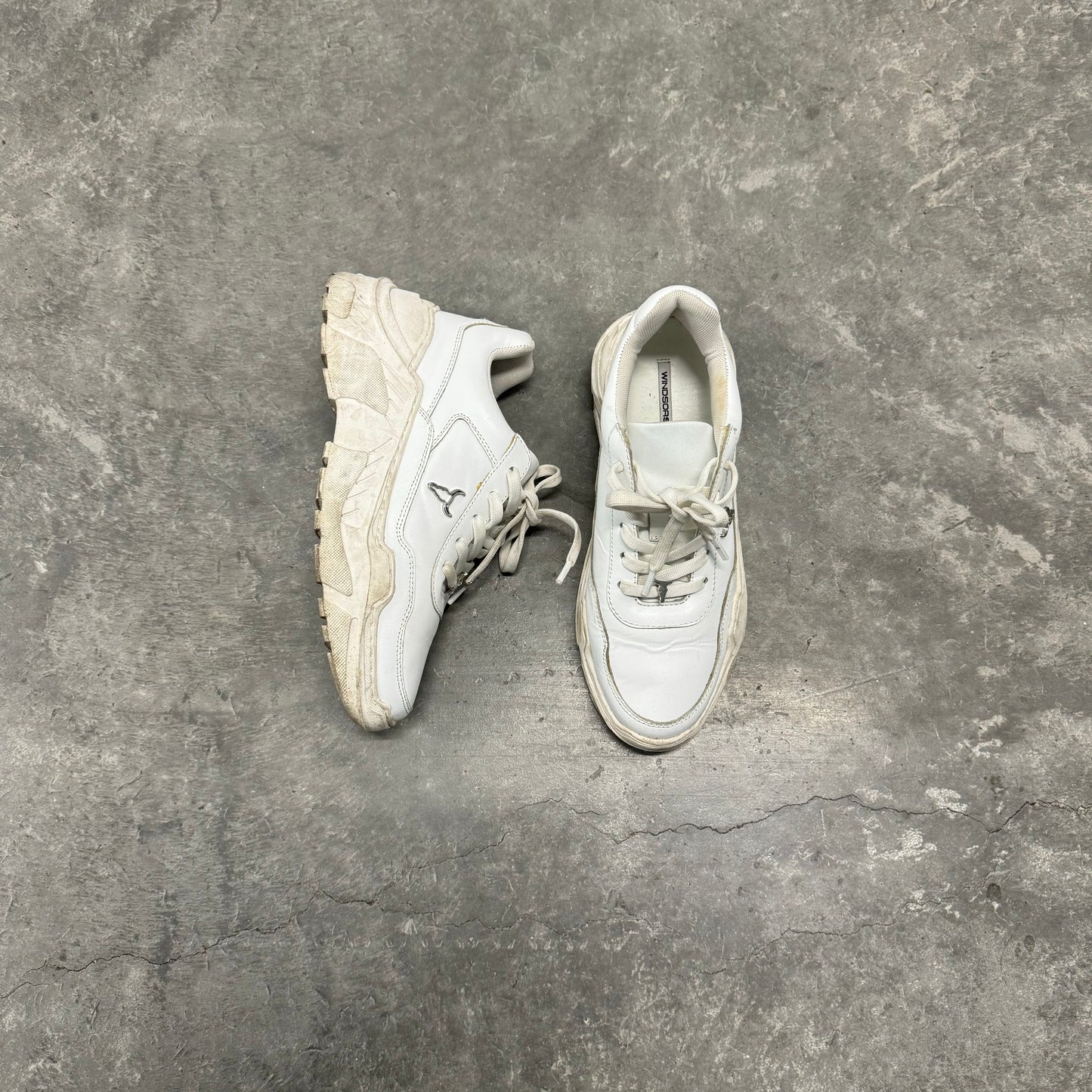 Windsor Smitn White Leather Sneakers
